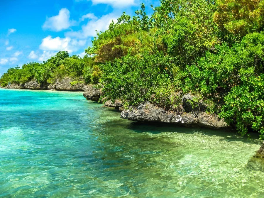 14. L'Île aux Aigrettes : refuge pour la biodiversité endémique