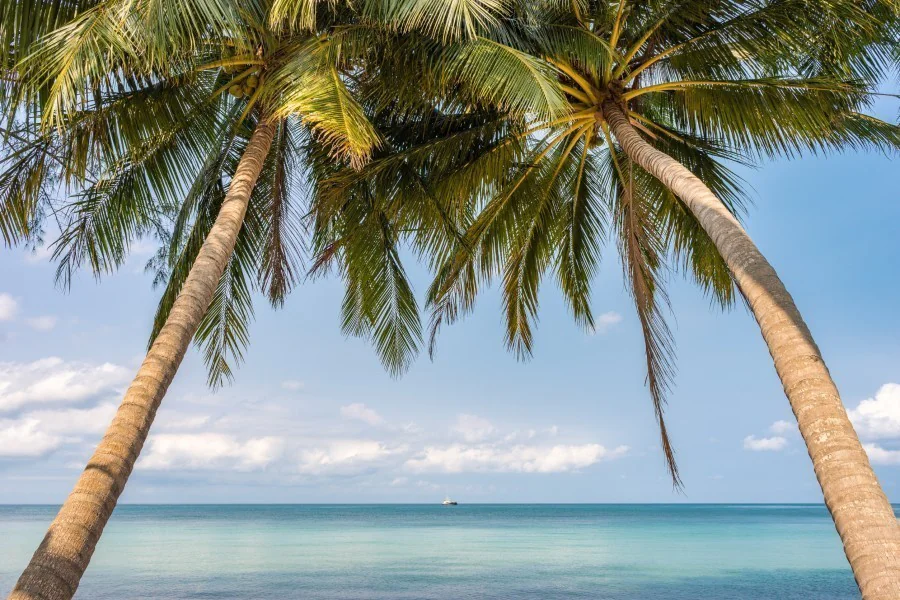 4. L'Île aux Cerfs : escapade paradisiaque pour toute la famille