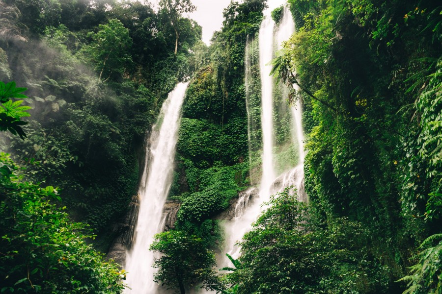 7. Sekumpul Waterfall : la cascade cachée de Bali entourée de verdure luxuriante