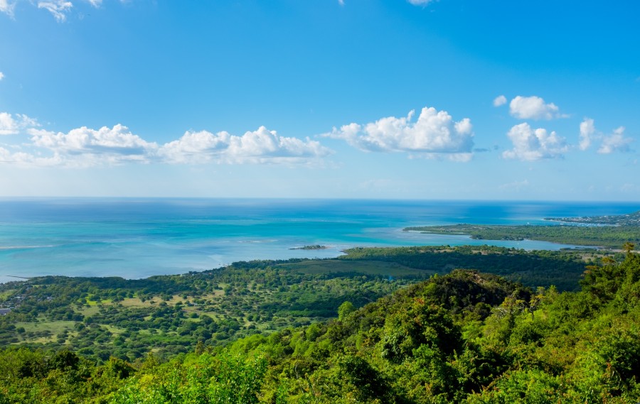 La Tourelle du Tamarin