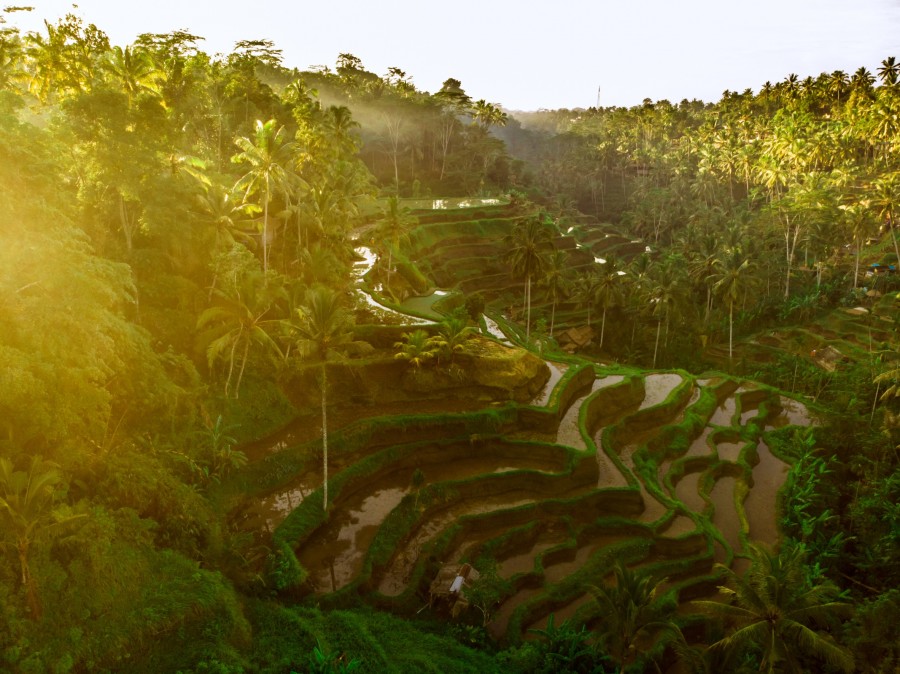 Ubud